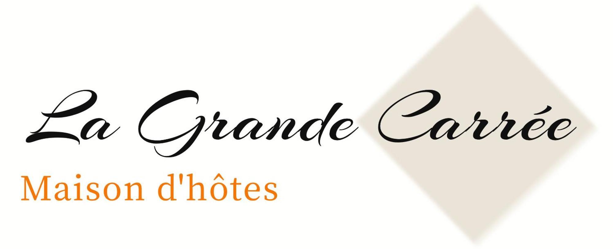 לינה וארוחת בוקר סן-סיר-סור-לואר La Grande Carree מראה חיצוני תמונה
